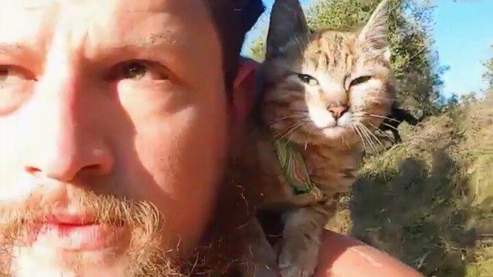 Seorang backpacker asing menemukan seekor kucing liar saat bersepeda mengelilingi dunia, lalu mereka