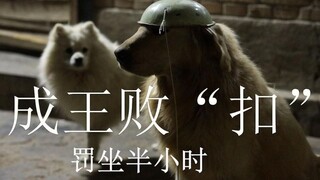 勾心斗角的拒食训练