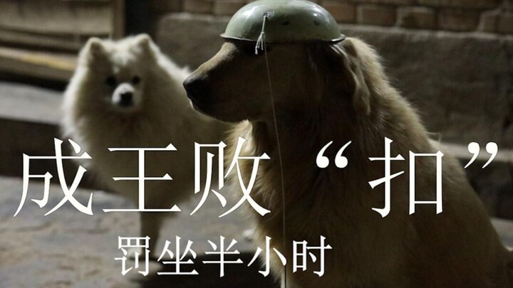 勾心斗角的拒食训练