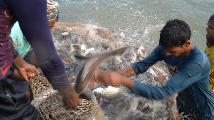 Fisheries of Bangladesh