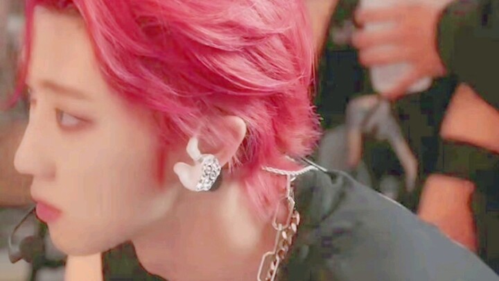 القطن الصغير ينمو بسعادة وصحة.