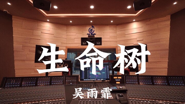 Rainie Wu's "Tree of Life" — Listen Loudly in a Million-Dollar Recording Studio