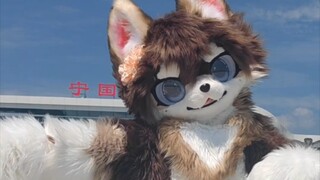 ใส่ชุดสัตว์ กระโดดเต้น Twice-tt หน้าสถานีรถไฟความเร็วสูงที่กำลังจะเปิดให้บริการในบ้านเกิด