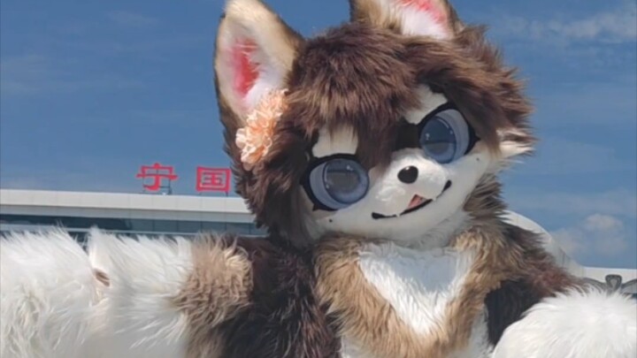 穿兽装，在老家快要开通的高铁站前面跳twice-tt