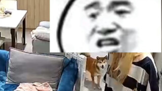 妈妈的好大儿（长辈评判）