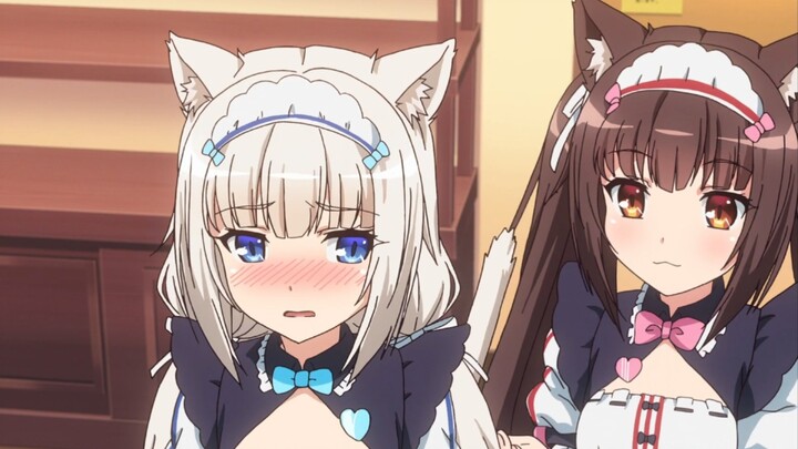 To satisfy my interest, my wife became a cat girl...
