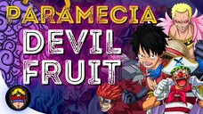 All Paramecia Devil Fruit Review