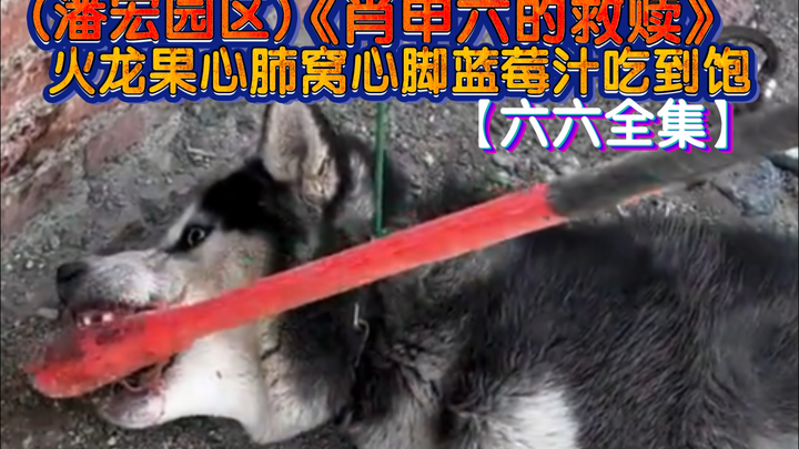 «خلاص شاوشين السادس» الحلقات الستة كاملة · النهاية! عصير التوت الأزرق مع لب فاكهة التنين وقلب الدجاج