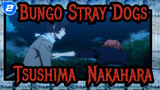 Bungo Stray Dogs|[Tsushima &Nakahara ]Season I&II and OVA I_2