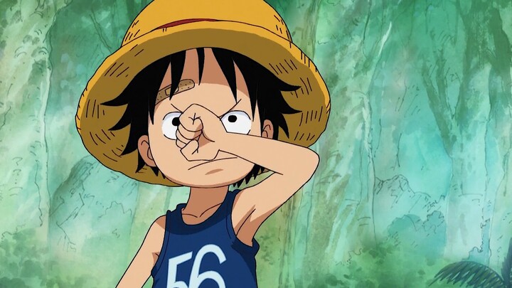 Ingatan Luffy, pertemuan tiga bersaudara