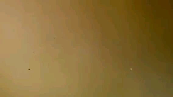 NORA AUNOR | THE FLOR CONTEMPLACION STORY (1995) FULL MOVIE