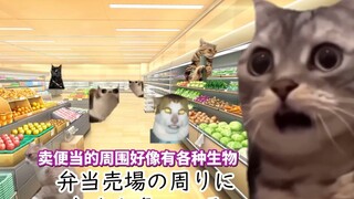 【熟肉】瞄准了便当打折的时候去超市的事件 | 猫meme