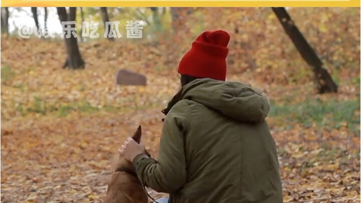 This takes a whole lot of love. #dog #pet