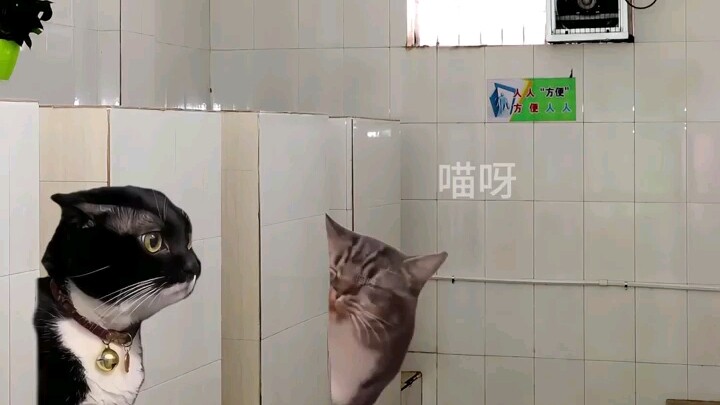 Me Using the Bathroom at School