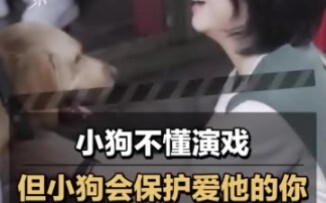Chú cún biết rằng diễn không tốt thì sẽ không có thưởng, nhưng nó vẫn muốn bảo vệ người mình yêu quý