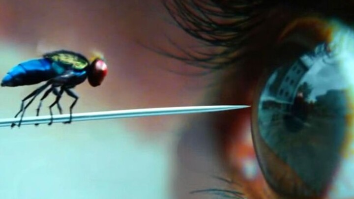 قُتل الشاب على يد غريمه في الحب، وبعد موته تحول إلى ذبابة لينتقم بجنون من خصمه!