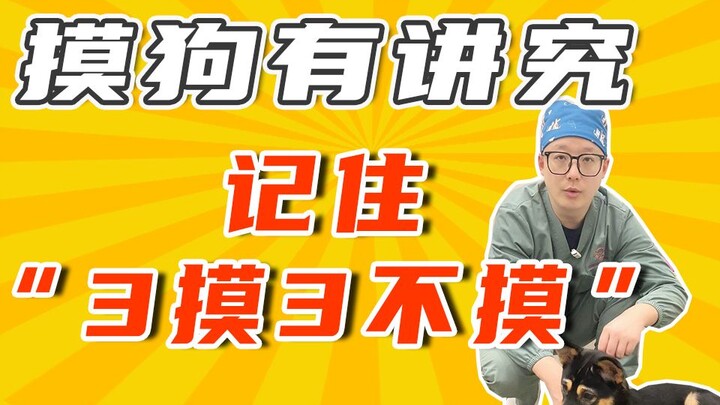 Mông hổ không thể sờ, mông chó cũng không thể sờ!