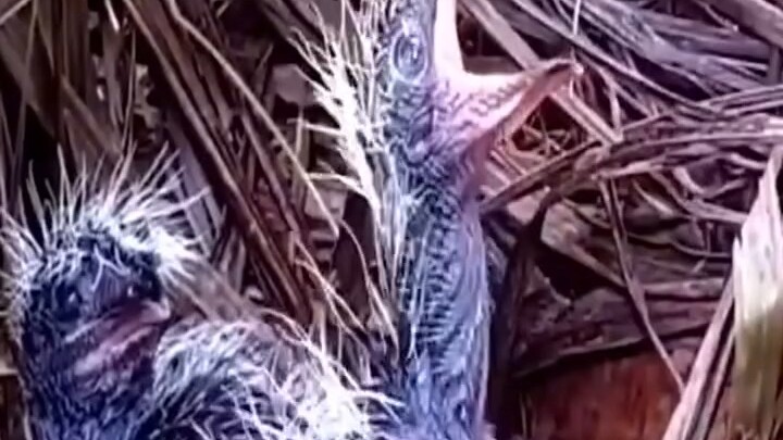 أطفال الآخرين هم أيضًا أطفال.