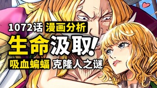白胡子情人真的是Miss巴金？漫画2个线索揭露斯图西过往！罕见的蝙蝠果实已经觉醒？海贼王1072话细节伏笔分析！
