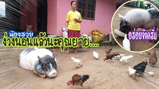 🌄ช่วงเช้าสบายๆใช้ชีวิตแบบง่ายๆอย่างมีความสุข🐖👵