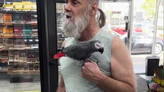 大爷养了32年的鹦鹉，练就了一身的技能，这得有多信任主人才能做到啊！