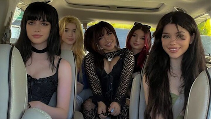 International Fun Video Compilation & Animal Silly Behavior Awards #108