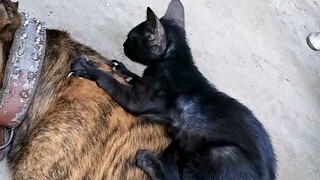mingyaw