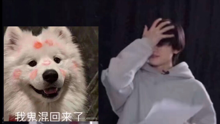 Saudara Keempat Samoyed Saya