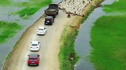 Ai bảo thảo nguyên không có đèn giao thông.