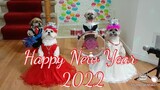 Four cute babies celebrate NewYear 2022|Bốn bé dễ thương ăn mừng năm mới 2022.