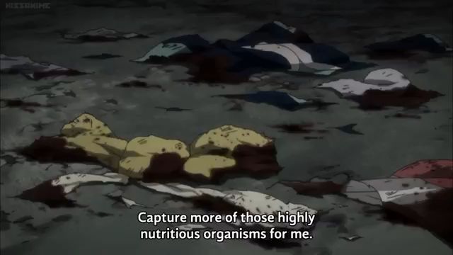 Hunter X Hunter 2011 Episode 78 - Species Evolution 