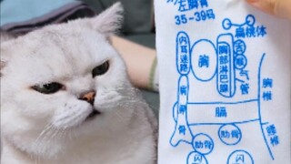 The paper-shell walnuts have really thin shells—absolutely not because I’m in pain!