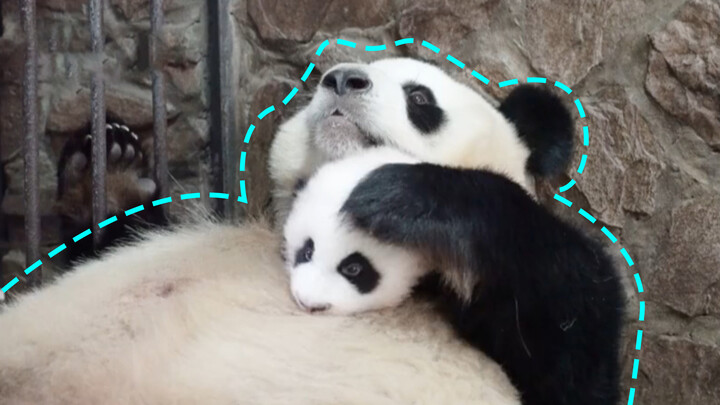 How comfortable is this fluffy panda bed?