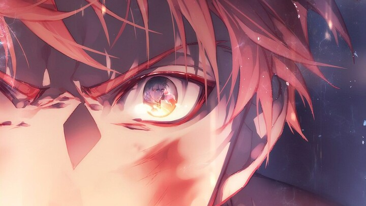 【Fate / Kaleid Liner】 Công lý liên quan gì đến tôi, tôi chỉ vì cô ấy mà thôi!