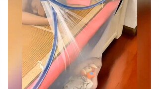 เสียงหัวเราะของเด็กน้อยน่ารักจนช่วยเยียวยาจิตใจ ทำเอาใจละลายไปในพริบตา พฤติกรรมขี้เล่นของเหล่าลูกสัต