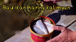 Bau! ikan haring kalengan