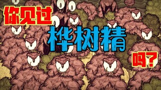 【饥荒单机】你见过桦树精吗？