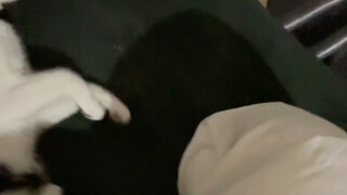 Are you dreaming about hitting me?