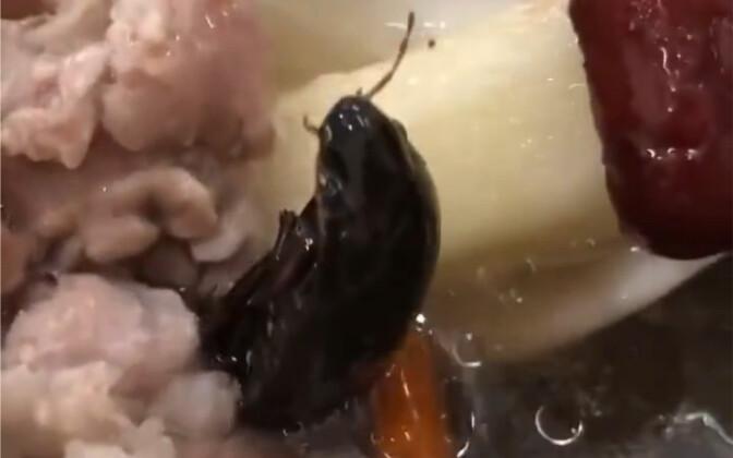 Saat pertama kali bertemu, hati saya sangat gelisah dan penuh penolakan