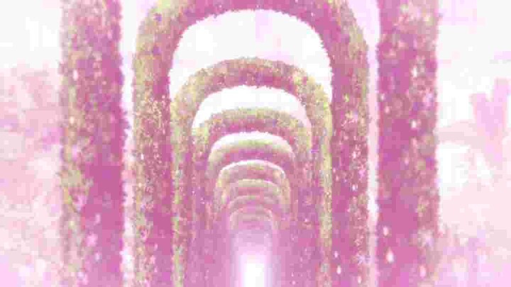 โลกสีชมพู