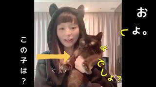 平野绫在家教你跳团舞