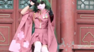 [Kenshin] Tarian cos "Seribu Sakura"! Merayakan ulang tahun ke-15 Miku! !