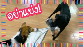 โลกของแสนดี ตอน ไม่ให้เล่น!!