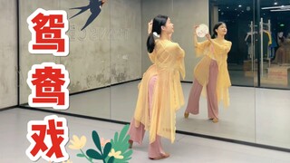 【盖盖】哎哟～小情郎你莫愁，此生只为你挽红袖《鸳鸯戏》团扇舞蹈 原创