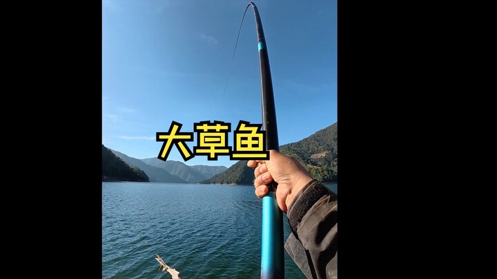 No scandal—this is the real me, haha!