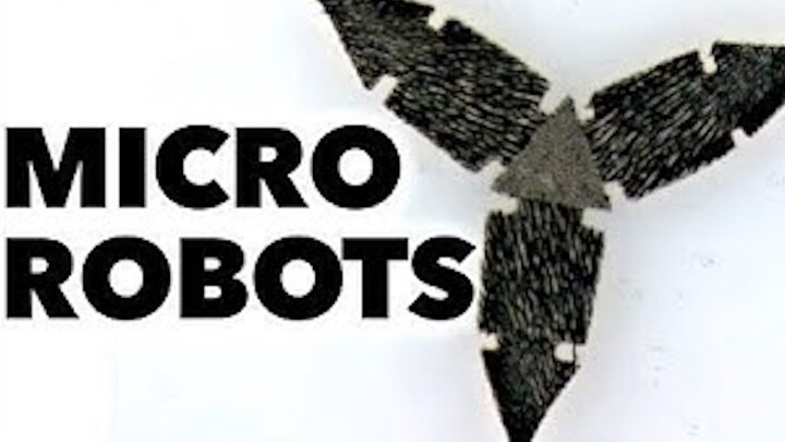 【ตัวอักษรภาษาอังกฤษ】หุ่นยนต์จิ๋วแม่เหล็ก【Veritasium ธาตุแห่งความจริง】