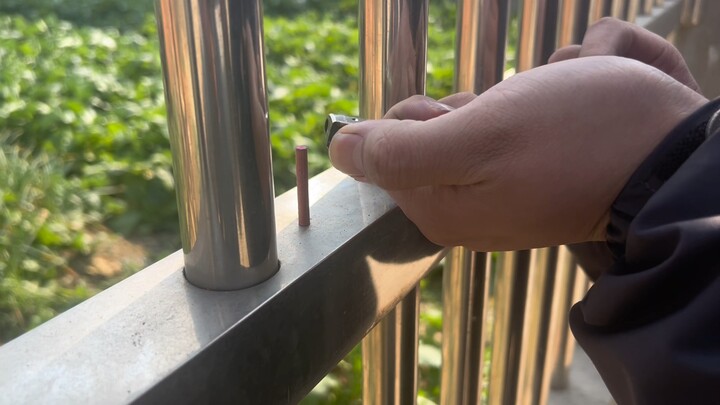 أرغب في شراء كلب متفجر قوي للألعاب النارية. لكنه لن يكون أبدًا مثل رحلة الشاب.