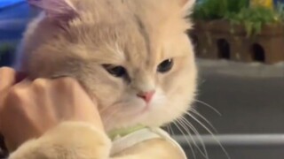 Baby really loves you