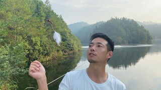 Ong bắp cày hổ vòng vàng, một trong năm loài ong độc nhất thế giới, đã bị máy bay không người lái th