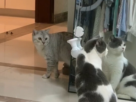 When he was little, Dazhuang played hide-and-seek with his dad.